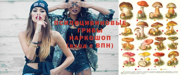 сатива Вязники