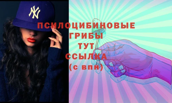 сатива Вязники