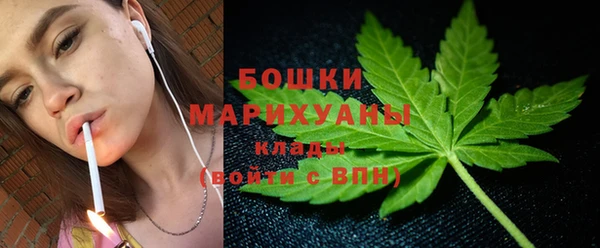 сатива Вязники